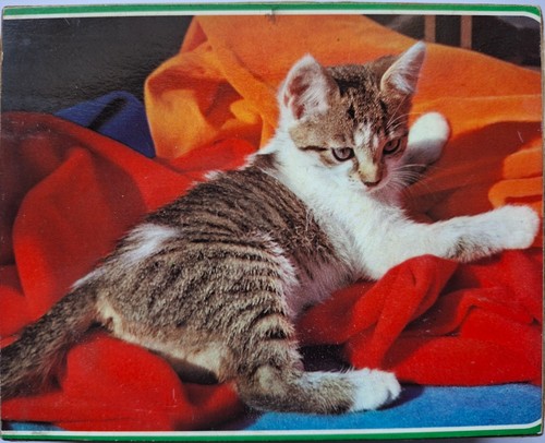 Mini puzzle katze auf - 2,